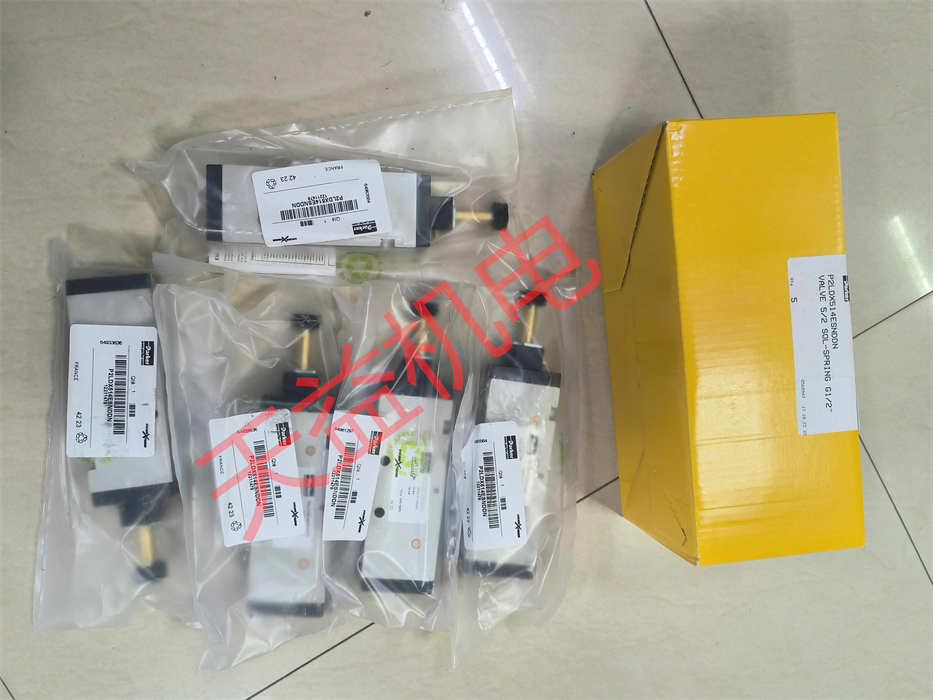 天益機電 Parker 工業(yè)產品 74    P2LDX514ESNDDN